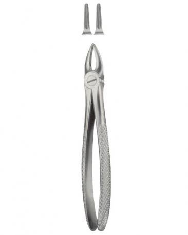 Extracting Forceps