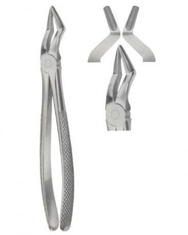 Extracting Forceps