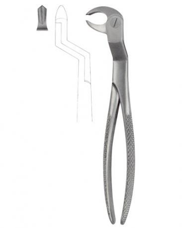 Extracting Forceps