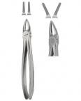 Extracting Forceps