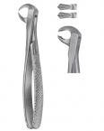 Extracting Forceps