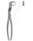 Extracting Forceps