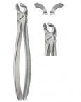 Extracting Forceps