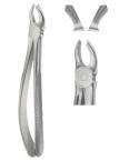 Extracting Forceps