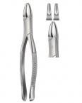 Extracting Forceps