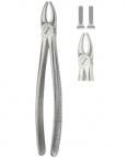 Extracting Forceps