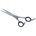 Hair Dressing Scissors