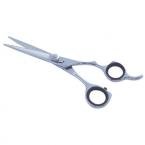 Hair Dressing Scissors