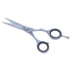 Hair Dressing Scissors