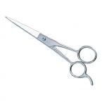 Hair Dressing Scissors